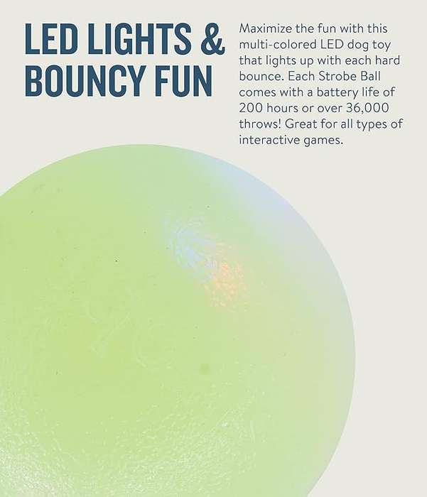 Planet Dog Orbee-Tuff Strobe Ball