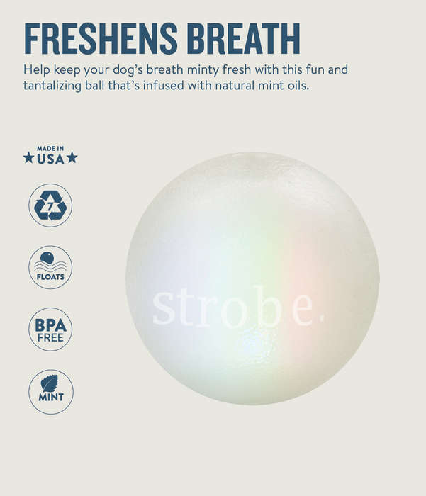 Planet Dog Orbee-Tuff Strobe Ball