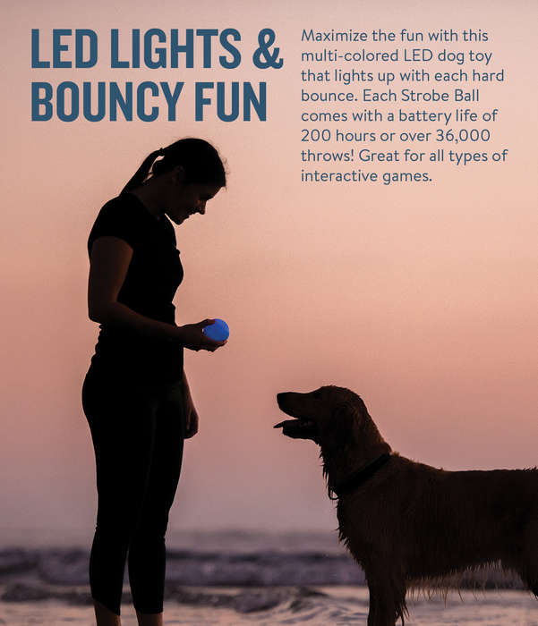 Planet Dog Orbee-Tuff Strobe Ball