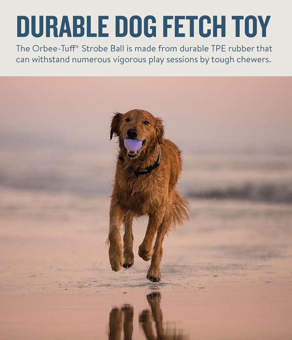 Planet Dog Orbee-Tuff Strobe Ball