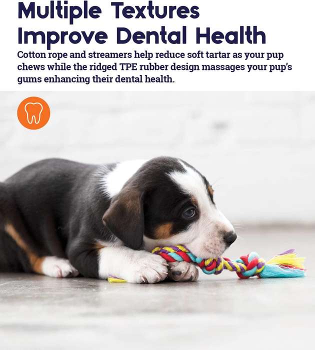 Mini Dental Chew Pack