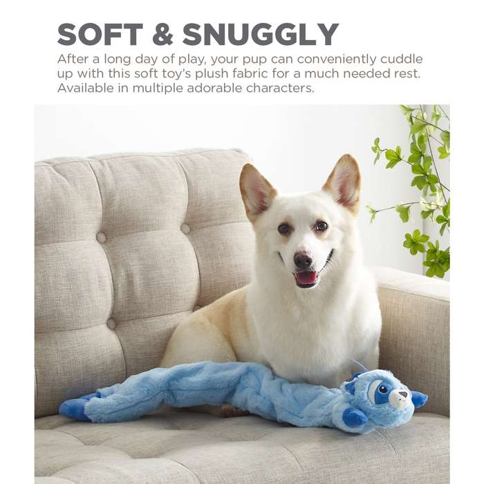 Longidudes Raccoon Blue