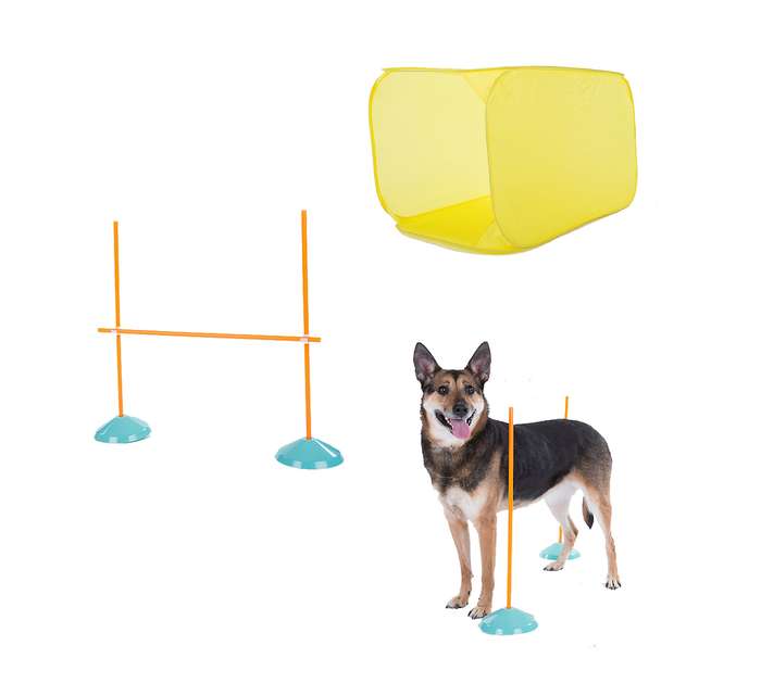 Outward Hound ZipZoom Indoor Agility Kit