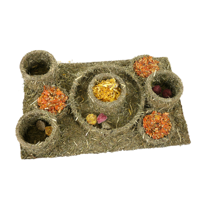 Naturals Hide 'N' Treat Maze