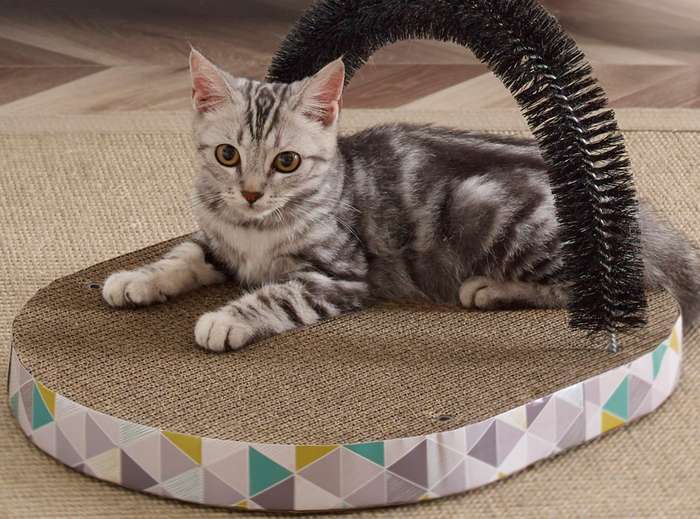 Petstages Scratch and Groom