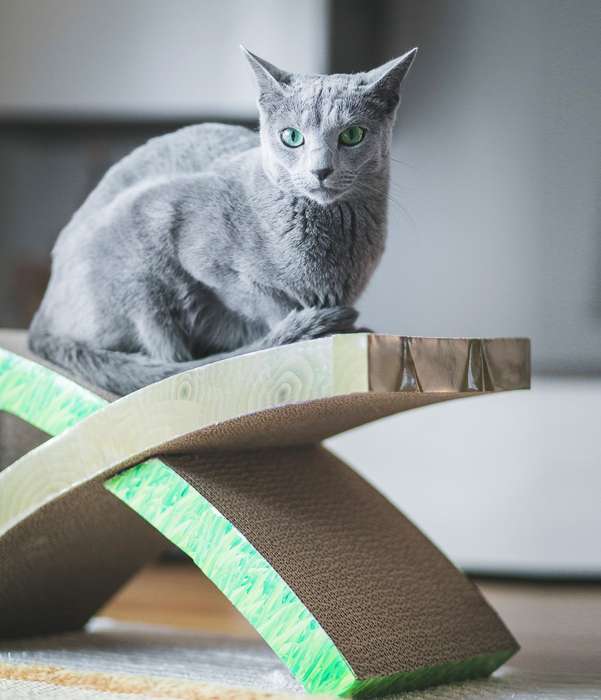 Invironment Easy Life Scratch Hammock