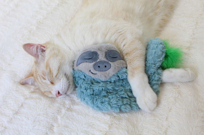 Snoozin Sloth Purr Pillow