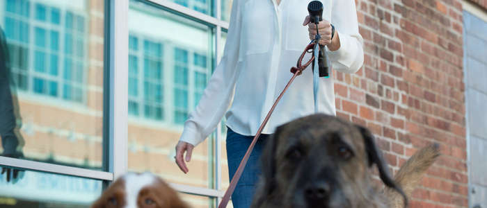 I'm Gismo Dual Leash (Not incl Handle)