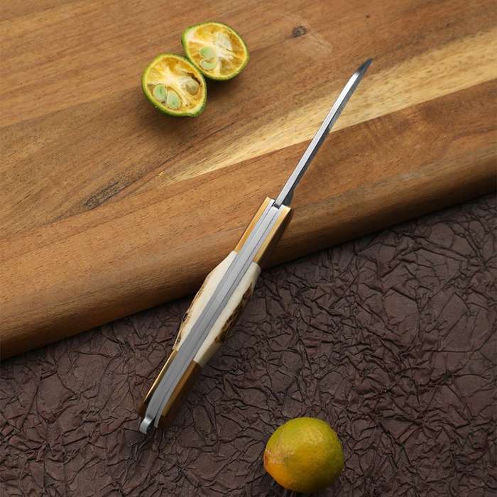 Lifespace Premium 'Hawkbill' Biltong Utility Knife with SS Blade & Antler Handle