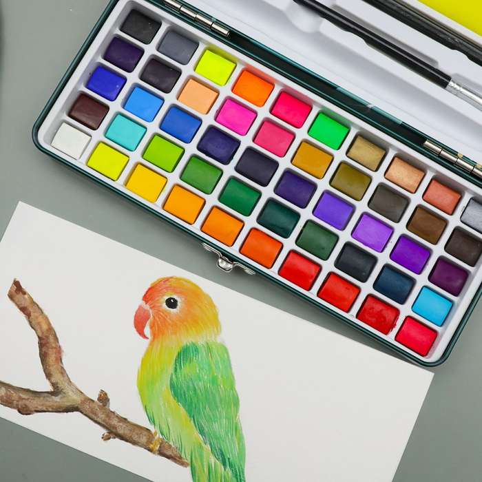 Artecho Professional 50 Watercolour Paint Set in Tin Case with Accessories
