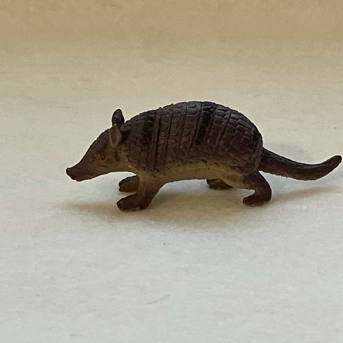 Miniature Armadillo