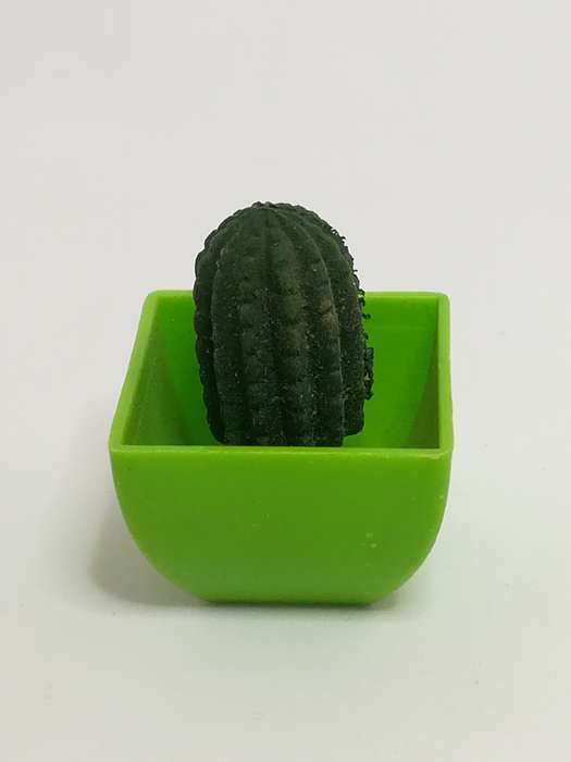 Miniature Cactus (Miniature, suitable for printer's tray)