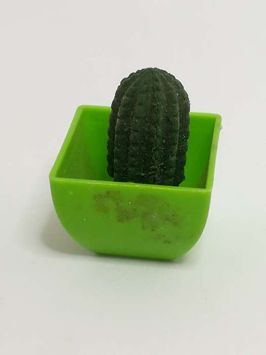 Miniature Cactus (Miniature, suitable for printer's tray)