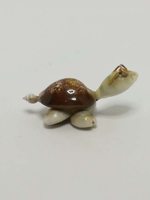 Miniature White & Brown Sea Shells Tortoise Wearing Glasses - Design 3 (Miniature, suitable for p...