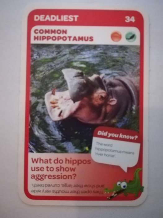 Pick n Pay South African Super Animals (Blue) - Card 34 - Common Hippopotamus