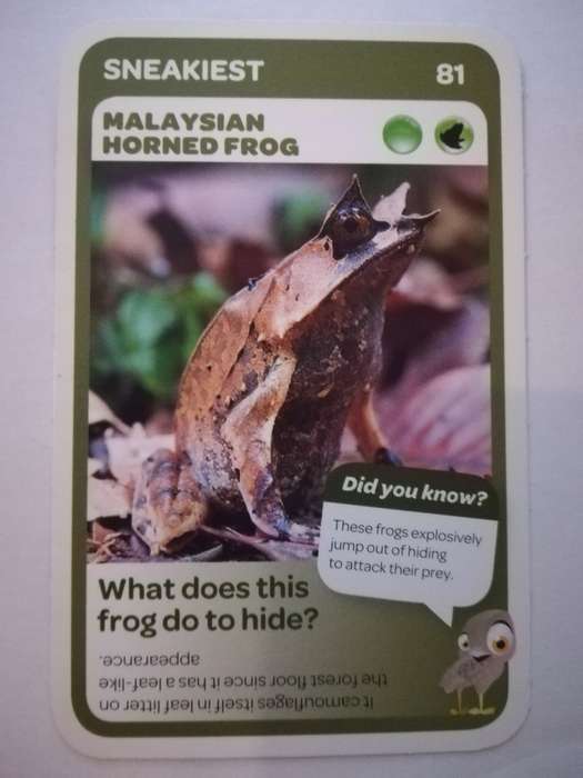 Pick n Pay South African Super Animals (Blue) - Card 81 - Malaysian Horned Frog