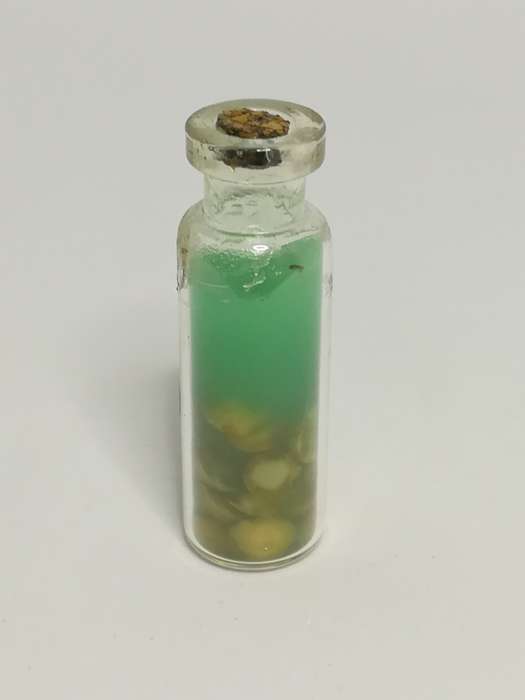 Miniature Bottle Homemade Fig Preserve (Miniature, suitable for printer's tray)