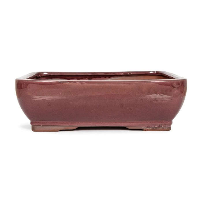 25 x 18 x 8cm - Glazed Bonsai Container - Oxblood