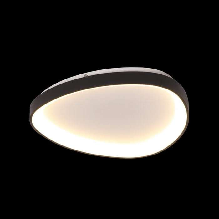 Emily Black / Metal LED Ceiling Light LED
