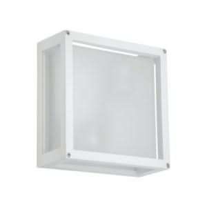 Cube Outdoor Wall Light (Spazio)