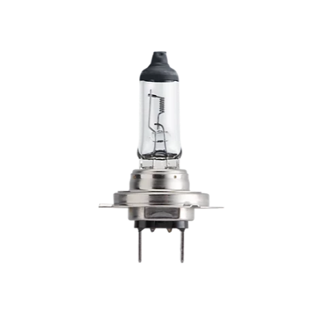 12V H7 Halogen PX26d Automotive Bulb