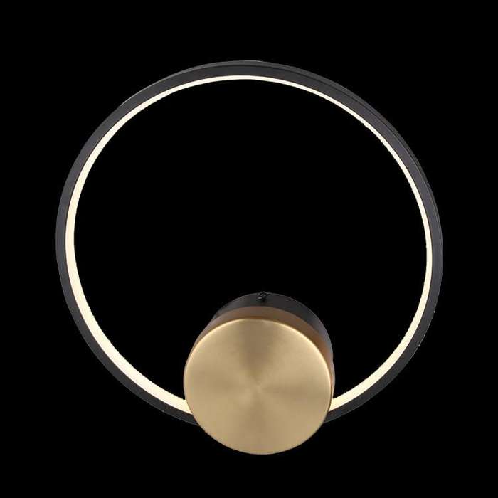 LED Ring Wall Light Black & Gold