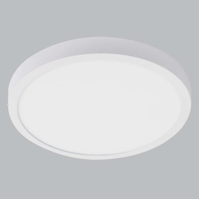Theo Round 24W CCT LED Ceiling Light