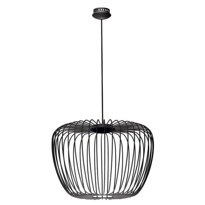 Black Apple LED Wire Pendant Light