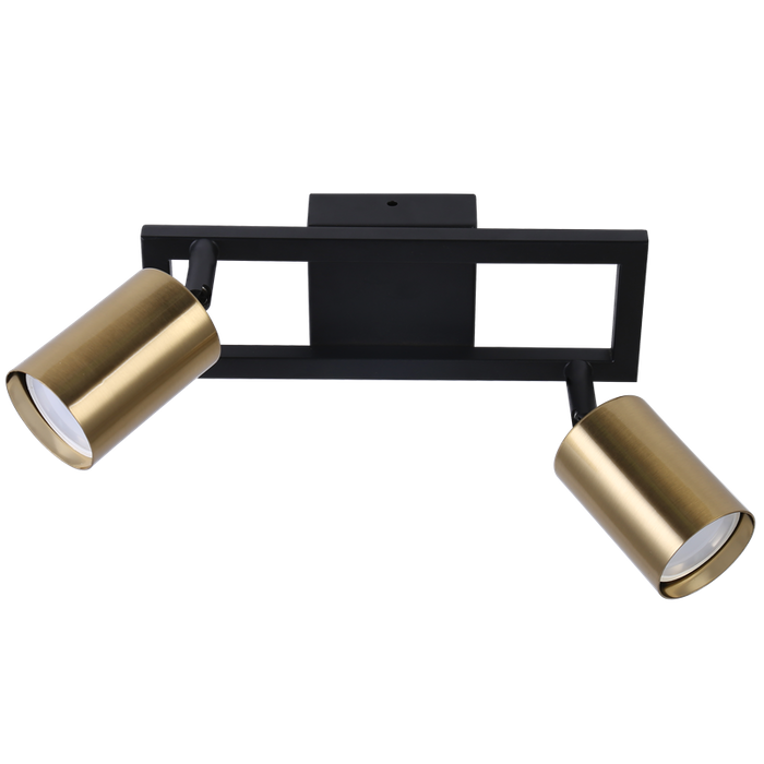 Sammi Black & Brass Spotlight - 2 Light