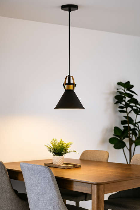 Black & Brass Pendant Light