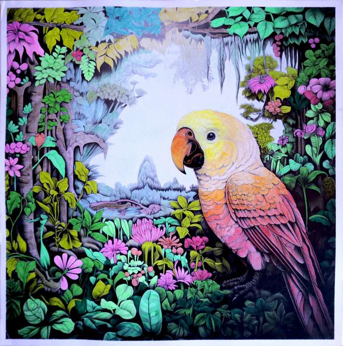 Fine Art - African Jungle Parrot 300 x 300mm Board