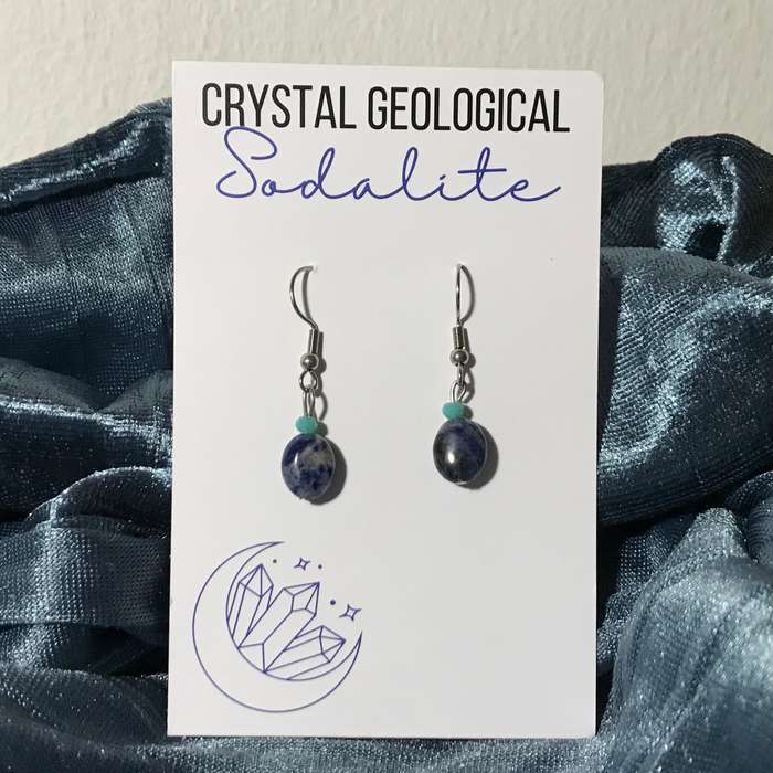 Assorted Sodalite Beaded Earrings
