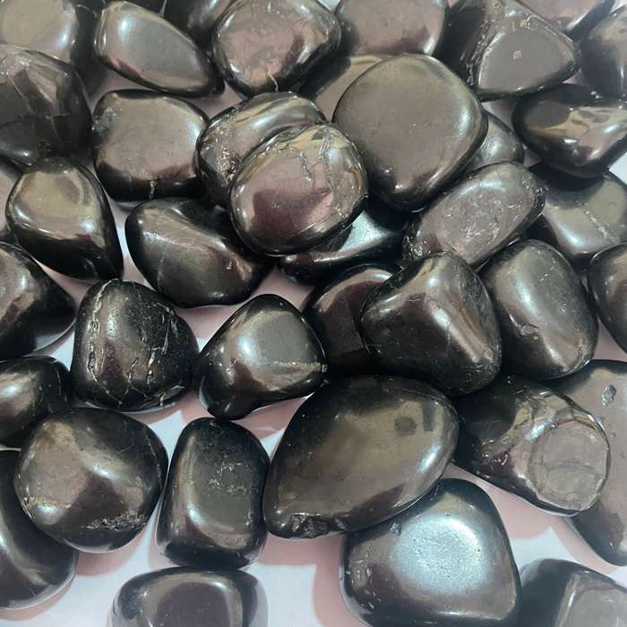 Shungite Tumble Stone