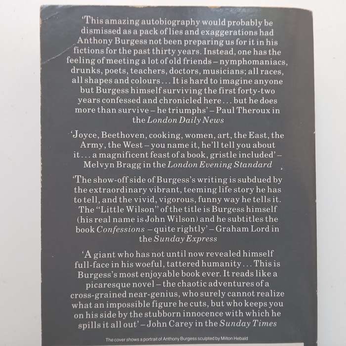 Little Wilson and Big God: Being the First Part of the Confessions of Anthony Burgess | Anthony B...