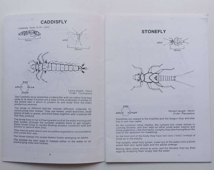 A Water Study (Signed by Author) | Bruce Greig