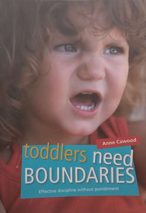 Toddlers Need Boundaries | Anne Cawood
