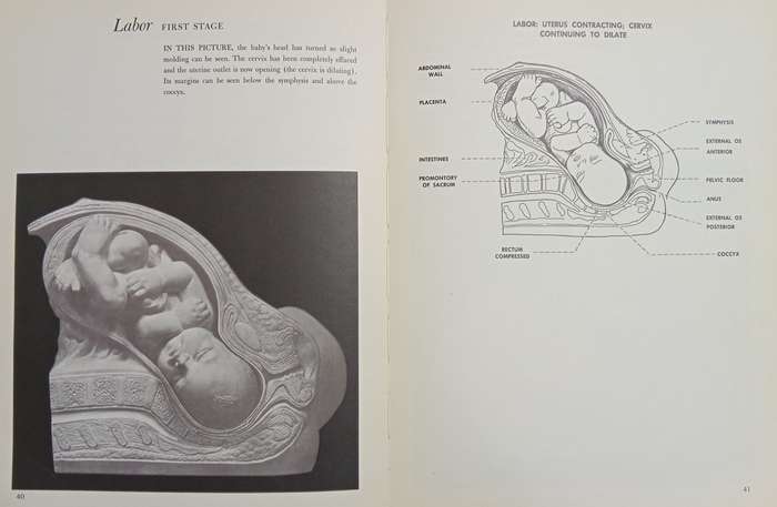 A Baby is Born: The Picture Story of a Baby from Conception through Birth