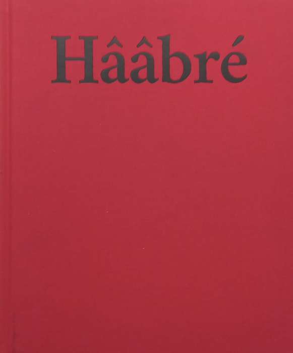 Haabre: The Last Generation | Joana Choumali