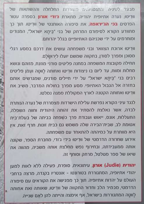 Cry of the Giraffe (Hebrew Text) | Judie Oron