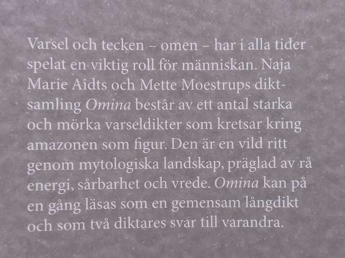 Omnia (Swedish) | Naja Marie Aidt & Mette Moestrup