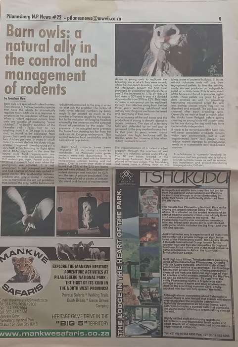 Pilanesberg National Parks News (Issue 22, Summer 2008)
