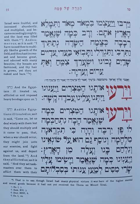 The Haggada (Hebrew and English Text)