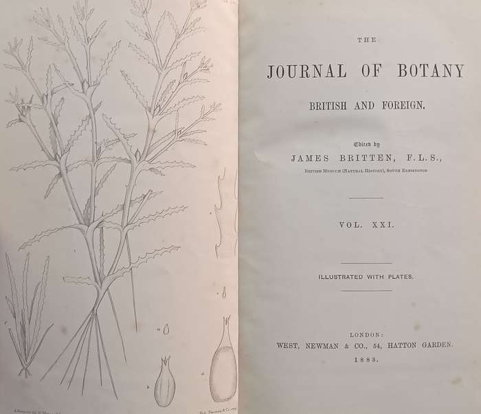 The Journal of Botany, British and Foreign (Vol. 21, Published 1883) | James Britten (Ed.)