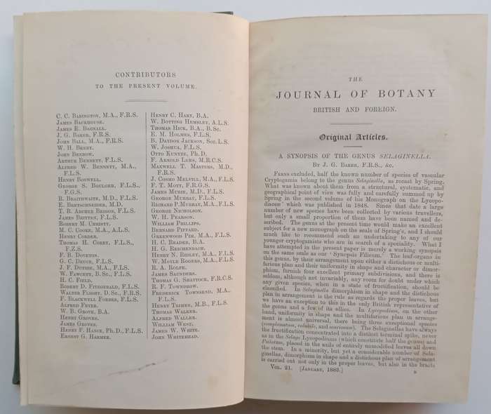 The Journal of Botany, British and Foreign (Vol. 21, Published 1883) | James Britten (Ed.)