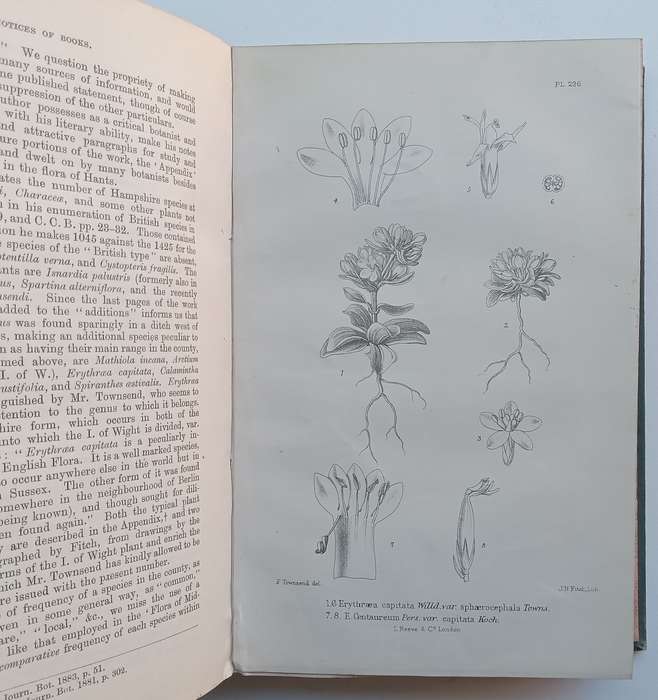 The Journal of Botany, British and Foreign (Vol. 21, Published 1883) | James Britten (Ed.)