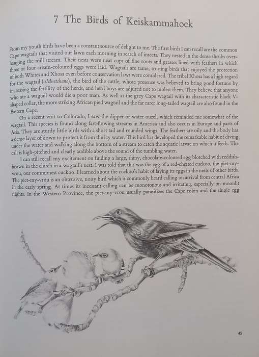 Water: Source of Life (Signed by Author and Illustrator, Inscribed by Illustrator) | Douglas Hey