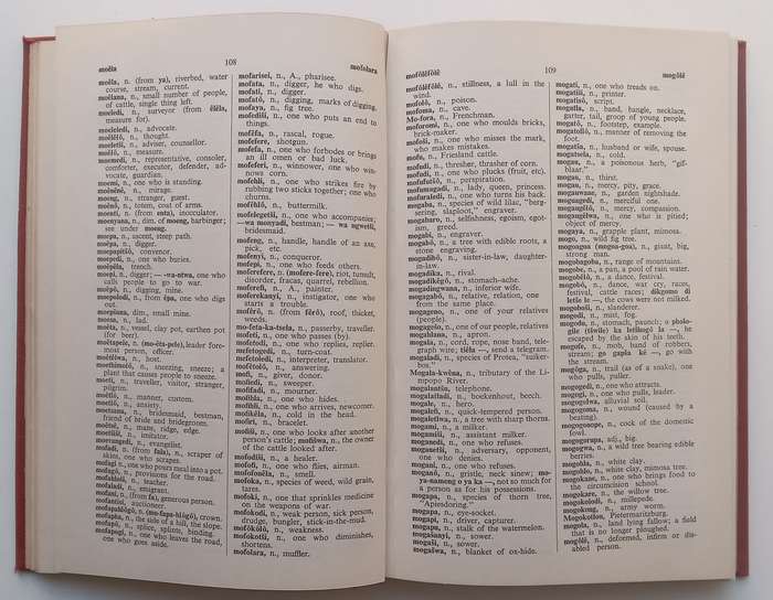 The New English-Sesotho Dictionary | T. J. Kriel
