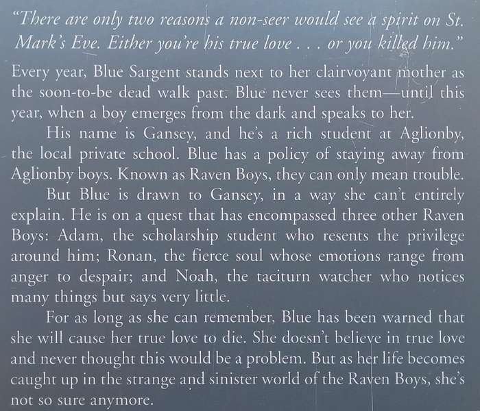 The Raven Boys (Book 1 of Raven Cycle) | Maggie Stiefvater
