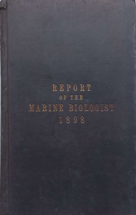 Cape of Good Hope Report of the Marine Biologist for the Year 1898