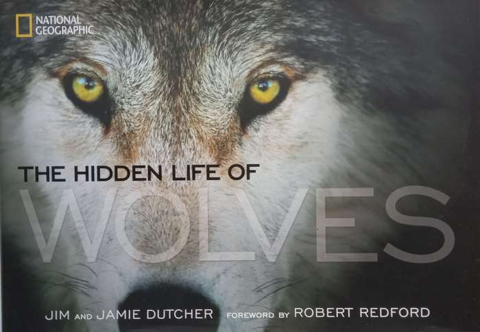 The Hidden Lives of Wolves (Inscribed by All Three Authors) | Jim Dutcher, et al.